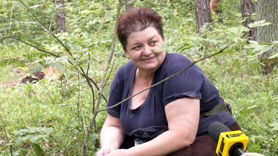 "Багато чорниць попримерзало": як на Волині цього року триває сезон збору лісової ягоди та яка ціна на неї — Орися Поліщук "Багато чорниць попримерзало": як на Волині цього року триває сезон збору лісової ягоди та яка ціна на неї — Орися Поліщук