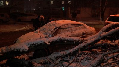 Завалена автівка деревом на вулиці Сковороди, що у Полтаві Завалена автівка деревом на вулиці Сковороди, що у Полтаві