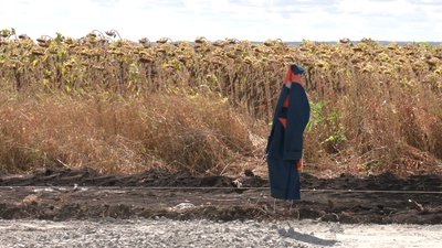 Під Чугуєвом облаштовують місце, де розбився Ан-26: що планують зробити Під Чугуєвом облаштовують місце, де розбився Ан-26: що планують зробити