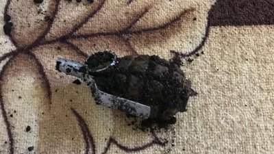 На Прикарпатті чоловік під час обшуку стріляв у поліцейських На Прикарпатті чоловік під час обшуку стріляв у поліцейських