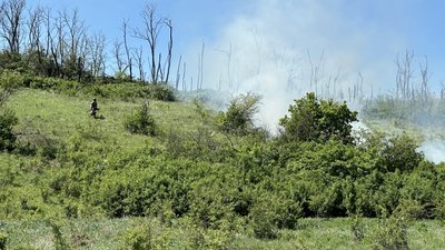 навчання ІІІ Інтернаціональний легіон тренування бійці Донецька область