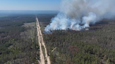 Пожежа в Артемівському лісництві Ізюмського району
