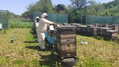 Пасічниця з Тернопільщини навчилася самостійно доглядати за бджолами Пасічниця з Тернопільщини навчилася самостійно доглядати за бджолами