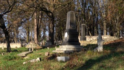 У Житомирі до об'єктів культурної спадщини внесли Лютеранське кладовище