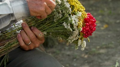 1500 букетів з польових квітів: історія 71-річного майстра з Рівного 1500 букетів з польових квітів: історія 71-річного майстра з Рівного