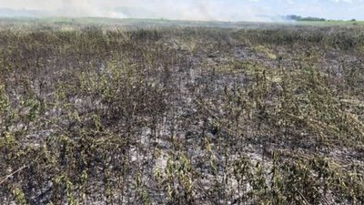 На Волині другу добу гасять пожежу на торфовищі