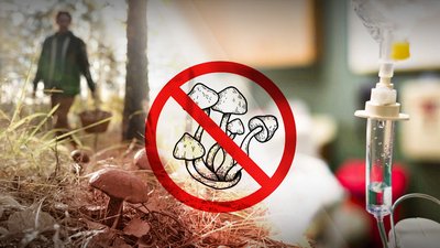 42-річна жінка, яку госпіталізували у Миргороді з отруєнням грибами, померла