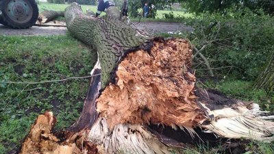 Підтоплені будинки та повалені дерева. Наслідки негоди на Вінниччині Підтоплені будинки та повалені дерева. Наслідки негоди на Вінниччині