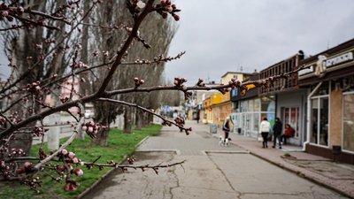Херсон, погода, природа, місто, вулиця, весна, квітуче дерево