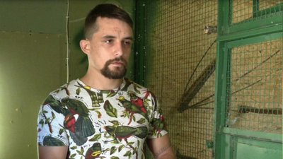 У притулку для птахів на Кіровоградщині рятують травмовану іволгу