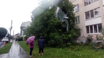 У Луцьку ліквідовують наслідки негоди: що і де поламав вітер У Луцьку ліквідовують наслідки негоди: що і де поламав вітер