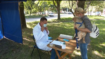 У Рівному розпочали вакцинувати домашніх тварин. РЕПОРТАЖ