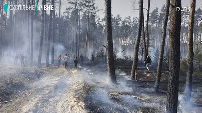 Пожежі в екосистемах Пожежі в екосистемах