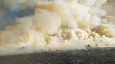 За добу рятувальники Львівщини загасили 82 пожежі сухостою За добу рятувальники Львівщини загасили 82 пожежі сухостою