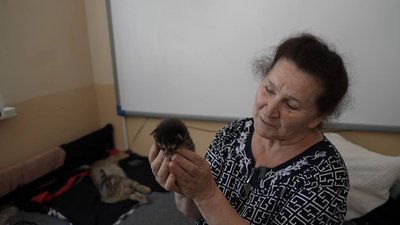 переселенці, Дніпропетровщина, Світлана, евакуйована з Васильківки