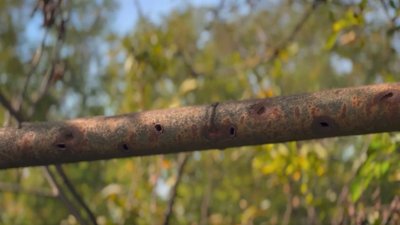 У Рай-Олександрівці на Донеччині відновили газопостачання, якого не було з червня — Донецькоблгаз У Рай-Олександрівці на Донеччині відновили газопостачання, якого не було з червня — Донецькоблгаз