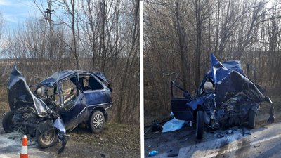 У Запорізькому районі внаслідок ДТП загинула жінка У Запорізькому районі внаслідок ДТП загинула жінка
