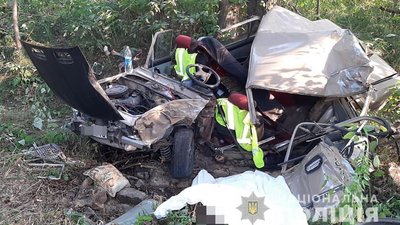 На Житомирщині в ДТП загинули двоє людей – автівка перекинулась і злетіла з дороги