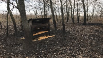 На Полтавщині почали підгодовувати диких тварин: чим саме і для чого На Полтавщині почали підгодовувати диких тварин: чим саме і для чого