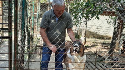Власник притулку Сергій Неділько. Власник притулку Сергій Неділько.