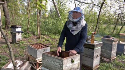 Бджільництво на Волині пасіка Баїв