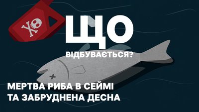 Сейм та Десна на Чернігівщині: коли очистяться річки від забруднень