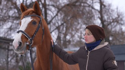 Кінь — символ 2026 року
