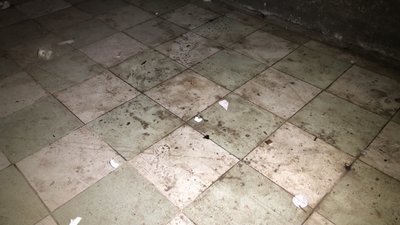 Підземні переходи у Полтаві підтоплює: чи планують ремонт Підземні переходи у Полтаві підтоплює: чи планують ремонт