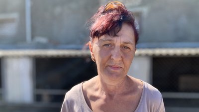 Лікування, турбота та нові сім’ї. Як на Миколаївщині рятують безпритульних собак Лікування, турбота та нові сім’ї. Як на Миколаївщині рятують безпритульних собак