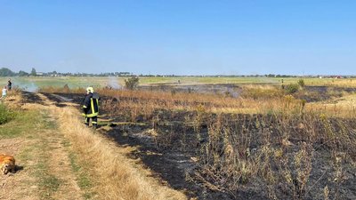 Пожежа в Луцькому районі, горіла суха трава і рослинність
