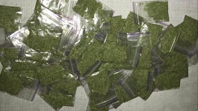 На Харківщині вилучили наркотиків на понад п’ять мільйонів гривень На Харківщині вилучили наркотиків на понад п’ять мільйонів гривень