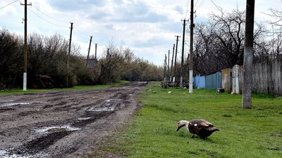 Сільська дорога на Донеччині, квітень 2026 року