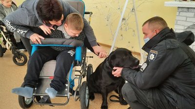 Не тільки шукають наркотики. У Кропивницькому собаки допомагають у реабілітації дітей з інвалідністю Не тільки шукають наркотики. У Кропивницькому собаки допомагають у реабілітації дітей з інвалідністю