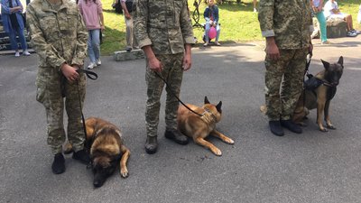 У львіському Парку культури провели парад військових собак У львіському Парку культури провели парад військових собак