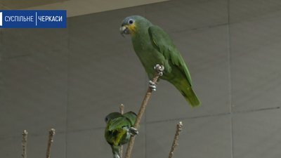 У Черкаському зоопарку – нові мешканці
