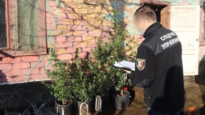 На Закарпатті заблокували мережу збуту наркотиків та психотропів На Закарпатті заблокували мережу збуту наркотиків та психотропів