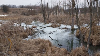 "Гниле місце". Як живуть люди у селі, яке розташоване на болотах на Сумщині "Гниле місце". Як живуть люди у селі, яке розташоване на болотах на Сумщині