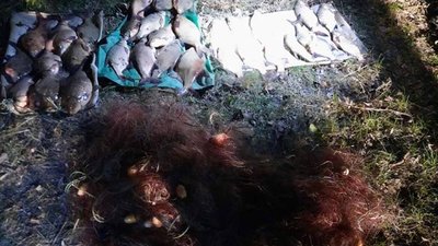 Чоловік ловив рибу мисиновими сітками