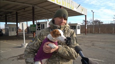 Щодня державний кордон патрулюють 20 службових собак з Мукачівського прикордонного загону