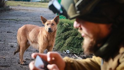 Історія нацгвардійця — оборонця Бахмута Історія нацгвардійця — оборонця Бахмута