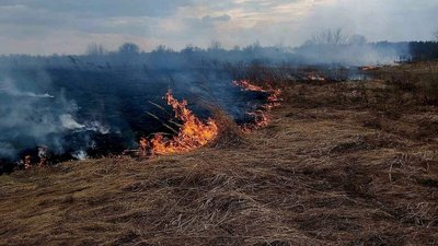 За добу на Житомирщині сталося 12 загорянь сухої рослинності