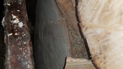 Колоди дуба волинянин приховав у вантажівці під дровами Колоди дуба волинянин приховав у вантажівці під дровами