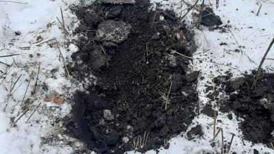 У лісі на Сумщині вибухотехніки знайшли гранату У лісі на Сумщині вибухотехніки знайшли гранату