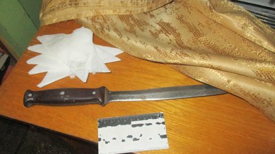 В Оріхові чоловік у нетверезому стані завдав ножових поранень чотирьом односельцям