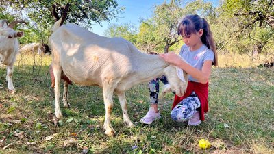 Елла допомагає поратися по господарстві