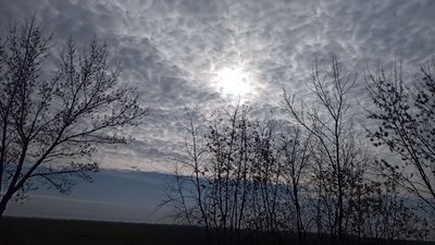 Природа Кіровоградщини
