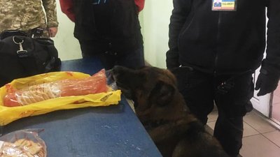 У Нових Яриловичах службовий пес знайшов батон з амфетаміном