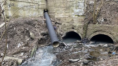 У Полтаві забруднюють Пушкарівські ставки: хто до цього причетний У Полтаві забруднюють Пушкарівські ставки: хто до цього причетний