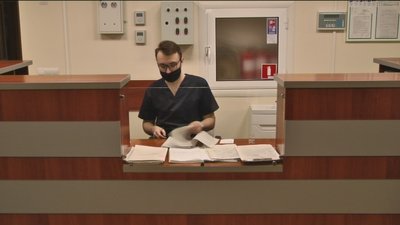 Вусатий листопад Вусатий листопад