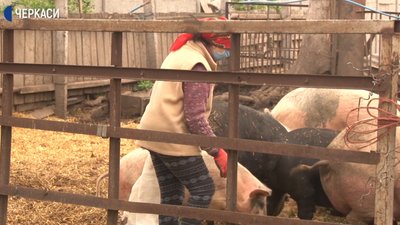 Черкаські фермери не знають, де збувати продукцію Черкаські фермери не знають, де збувати продукцію